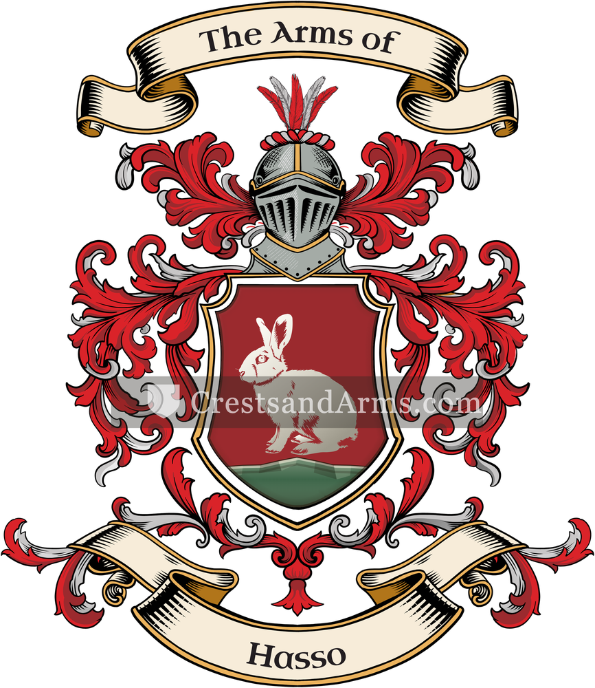 The Hasso coat of arms, drawn from the recorded blazon