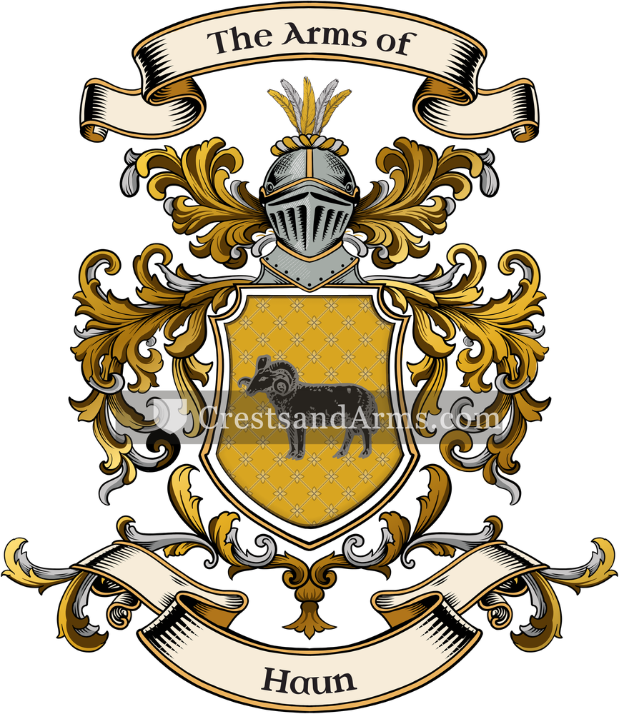 The Haun coat of arms, drawn from the recorded blazon
