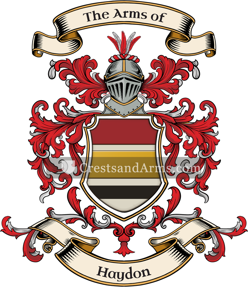 The Haydon coat of arms, drawn from the recorded blazon