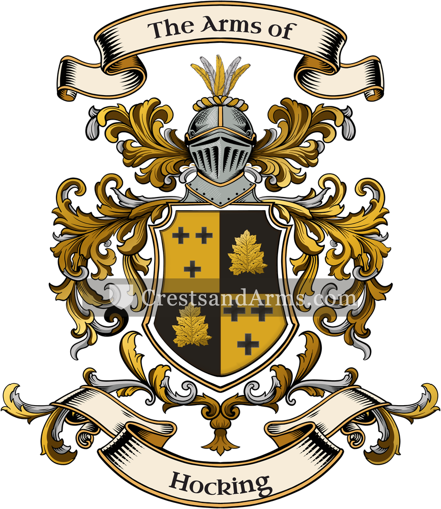 The Hocking coat of arms, drawn from the recorded blazon
