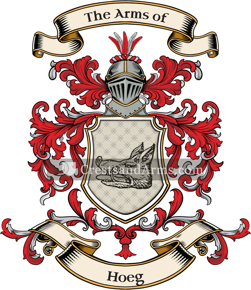 The Hoeg coat of arms, drawn from the recorded blazon