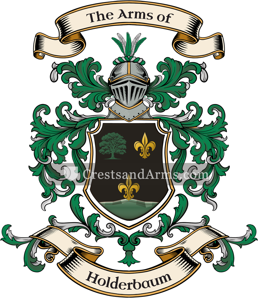 The Holderbaum coat of arms, drawn from the recorded blazon