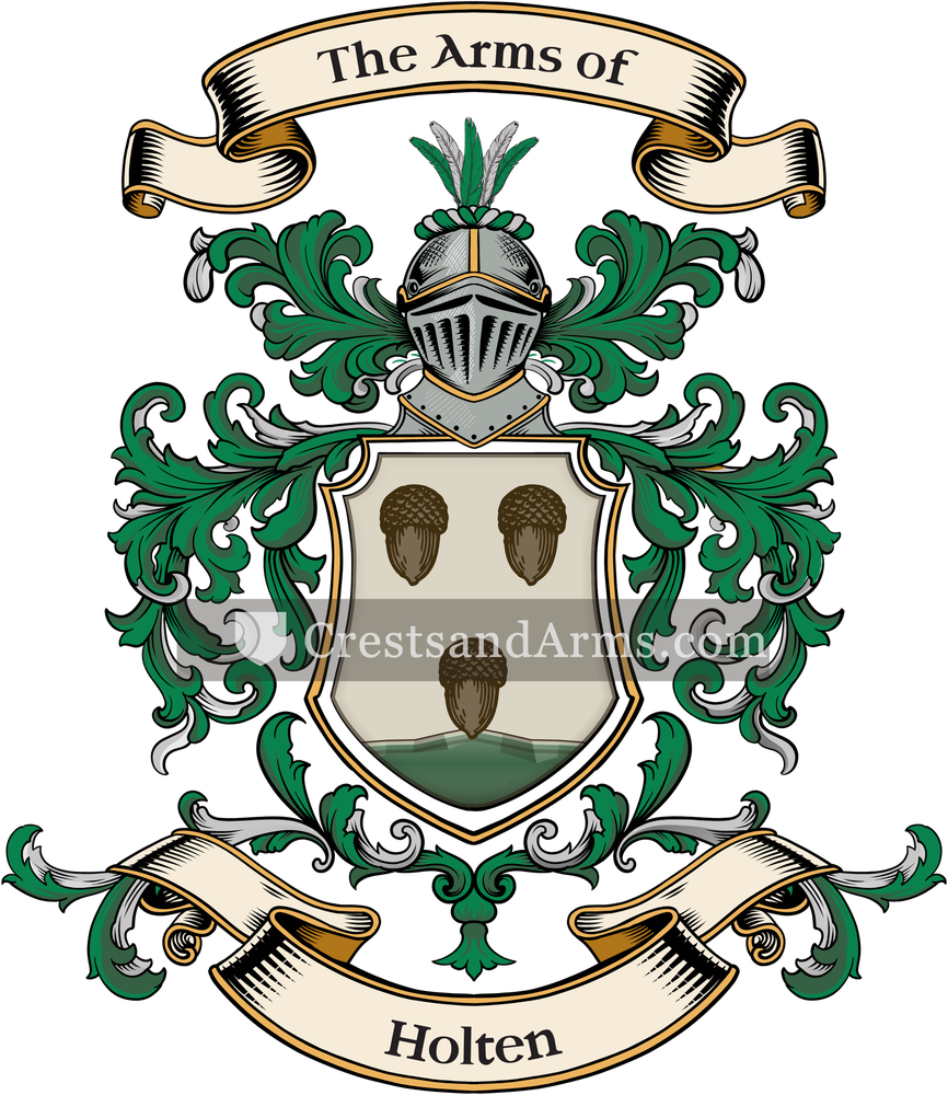 The Holten coat of arms, drawn from the recorded blazon