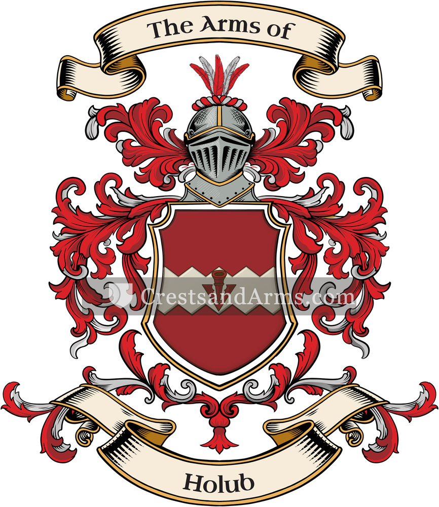 The Holub coat of arms, drawn from the recorded blazon