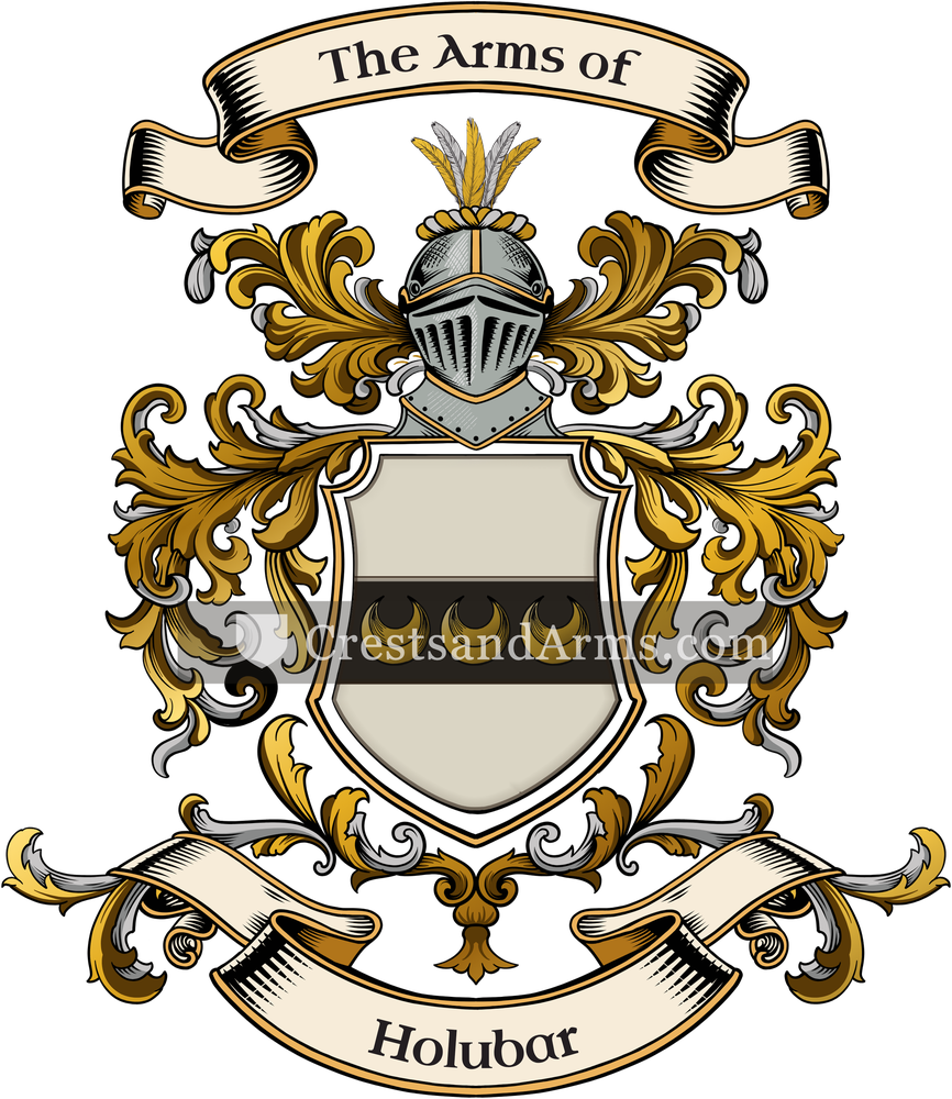 The Holubar coat of arms, drawn from the recorded blazon