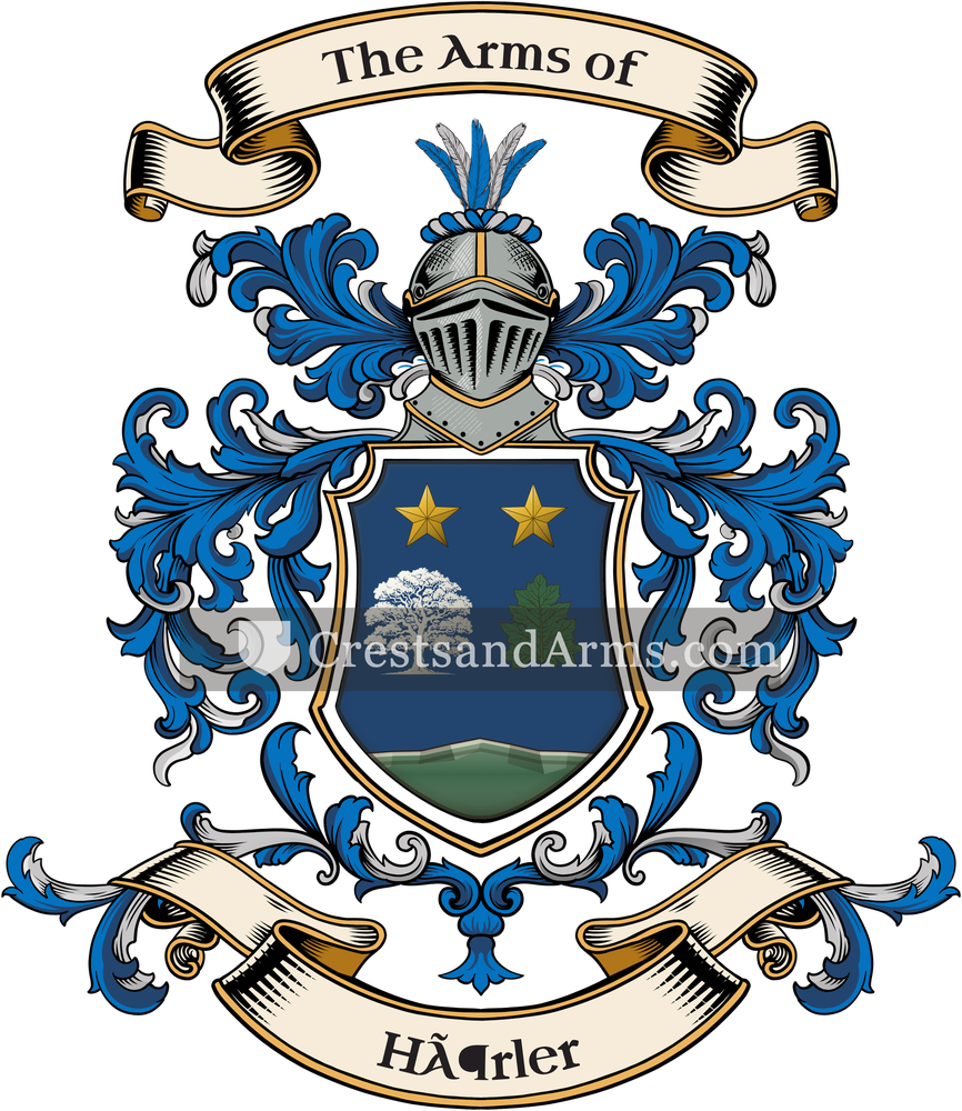 The Hörler coat of arms, drawn from the recorded blazon