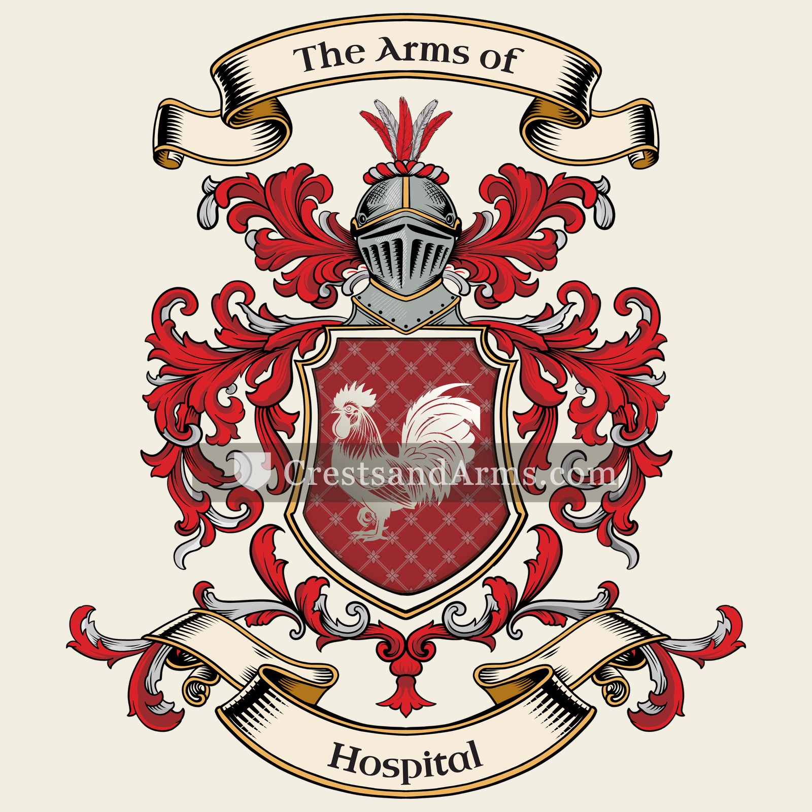 The Hospital coat of arms, drawn from the recorded blazon