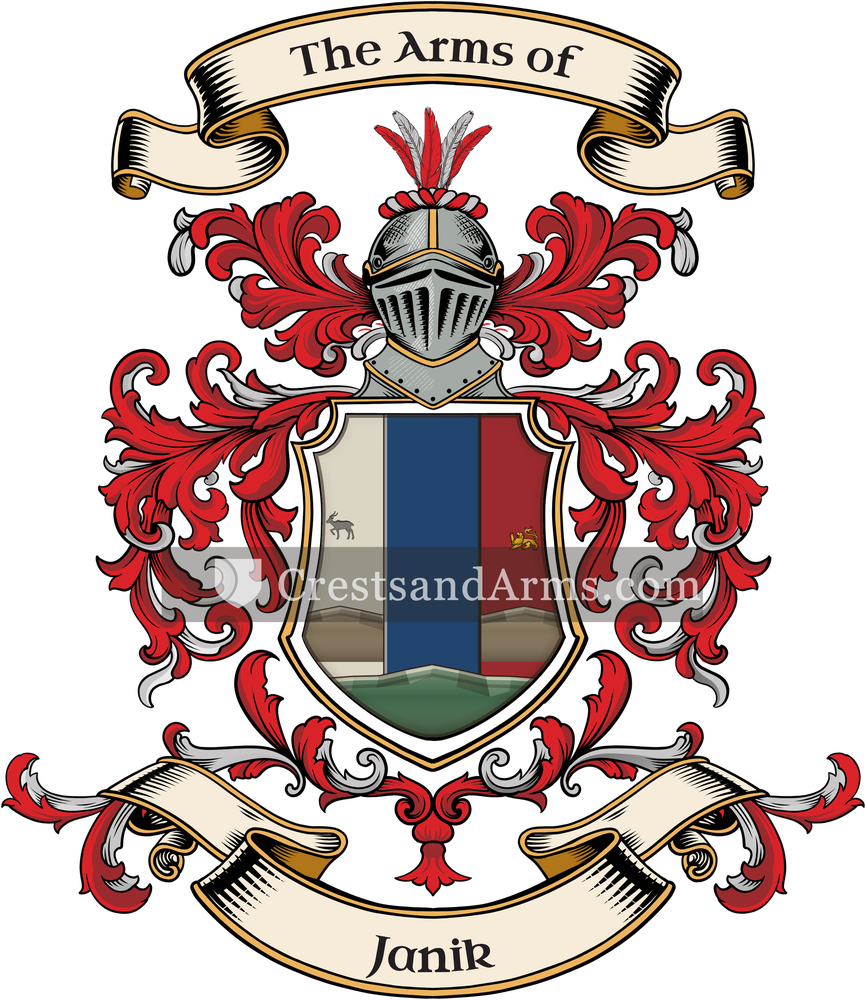 The Janik coat of arms, drawn from the recorded blazon