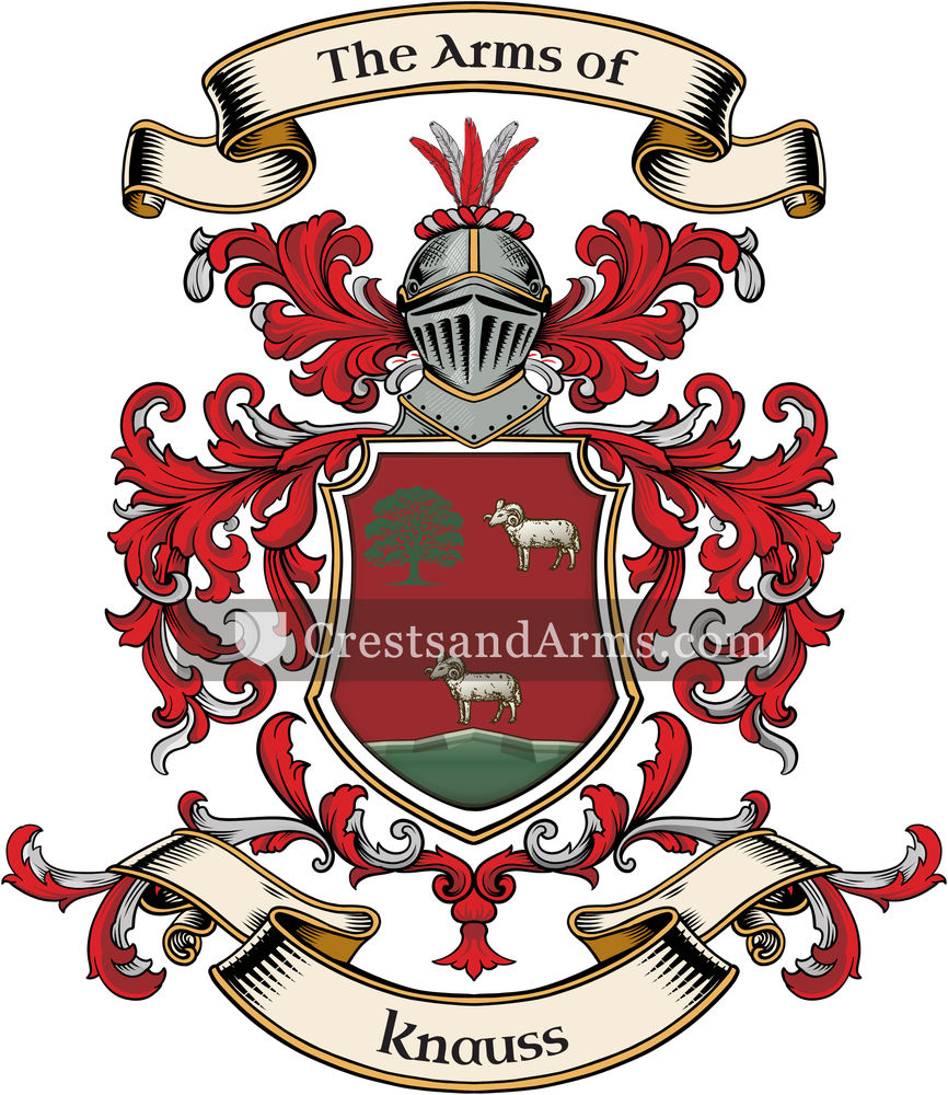 The Knauss coat of arms, drawn from the recorded blazon