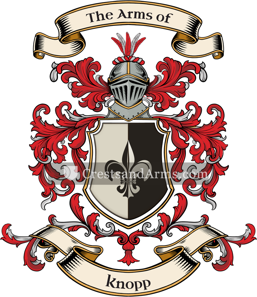 The Knopp coat of arms, drawn from the recorded blazon