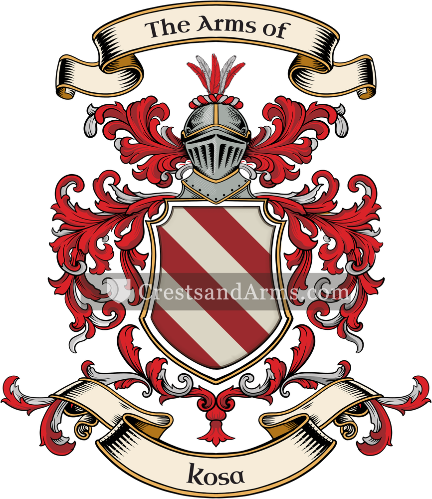 The Kosa coat of arms, drawn from the recorded blazon