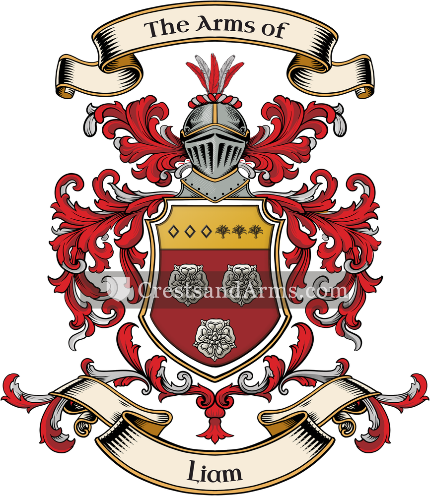 The Liam coat of arms, drawn from the recorded blazon