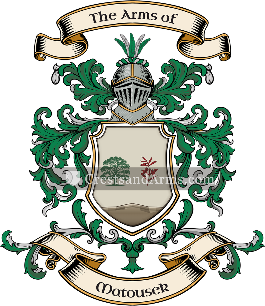The Matousek coat of arms, drawn from the recorded blazon