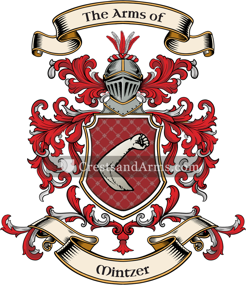 The Mintzer coat of arms, drawn from the recorded blazon