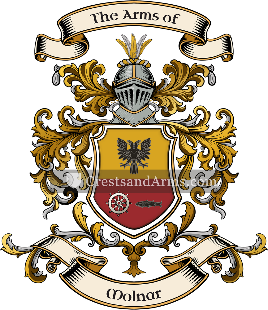The Molnar coat of arms, drawn from the recorded blazon