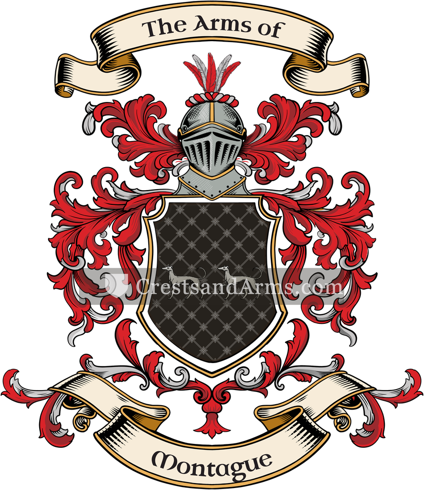 The Montague coat of arms, drawn from the recorded blazon