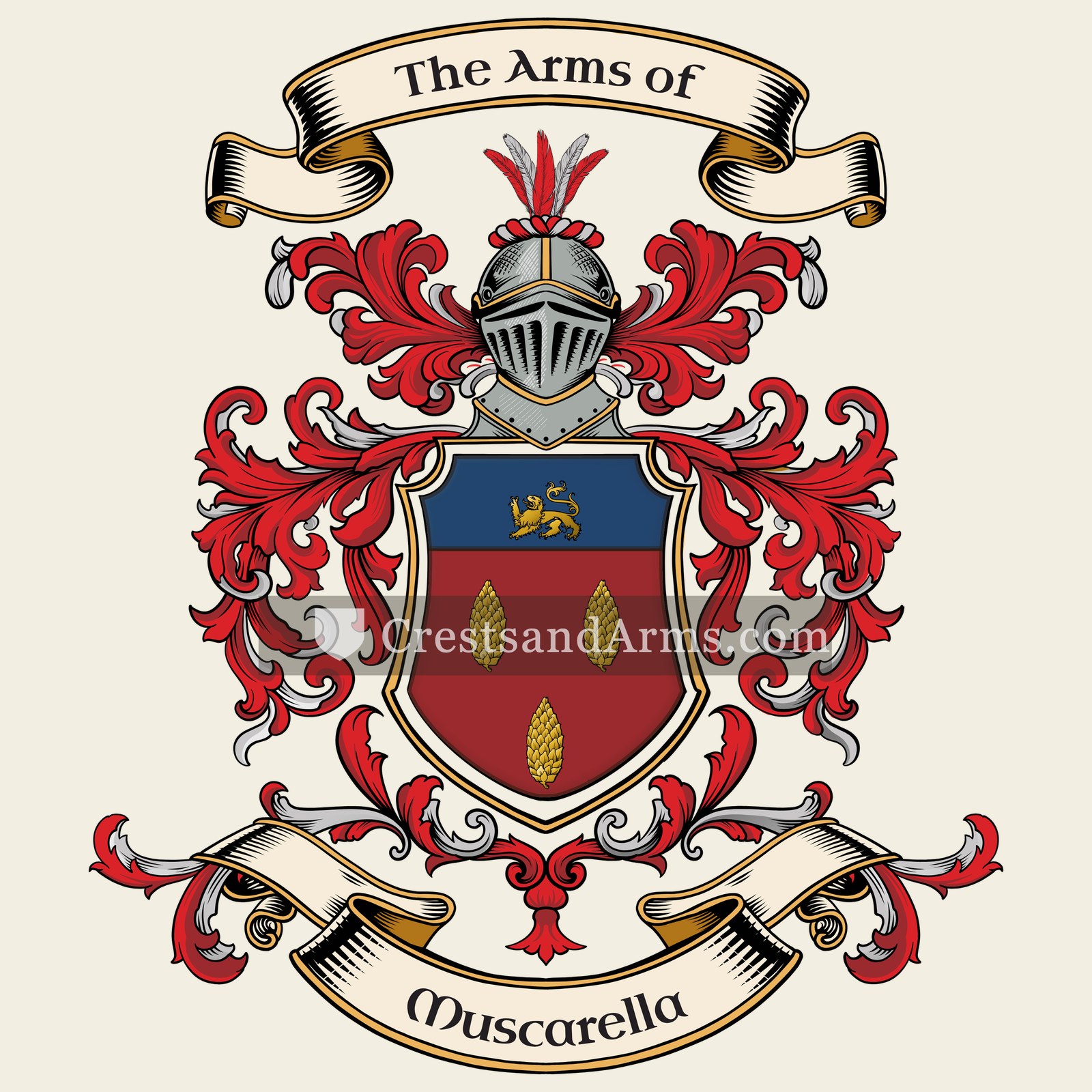 The arms