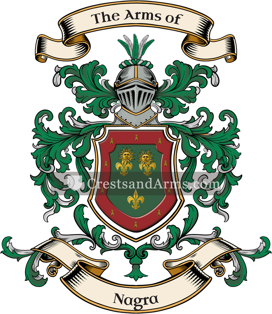 The Nagra coat of arms, drawn from the recorded blazon