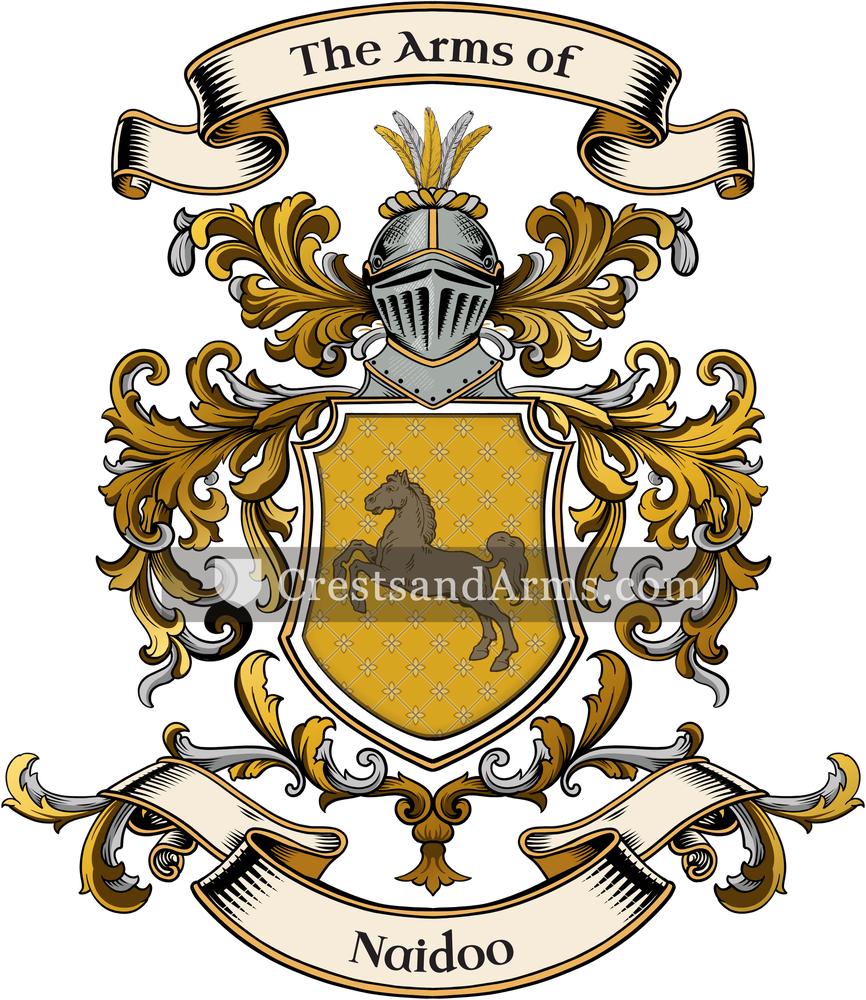 The Naidoo coat of arms, drawn from the recorded blazon