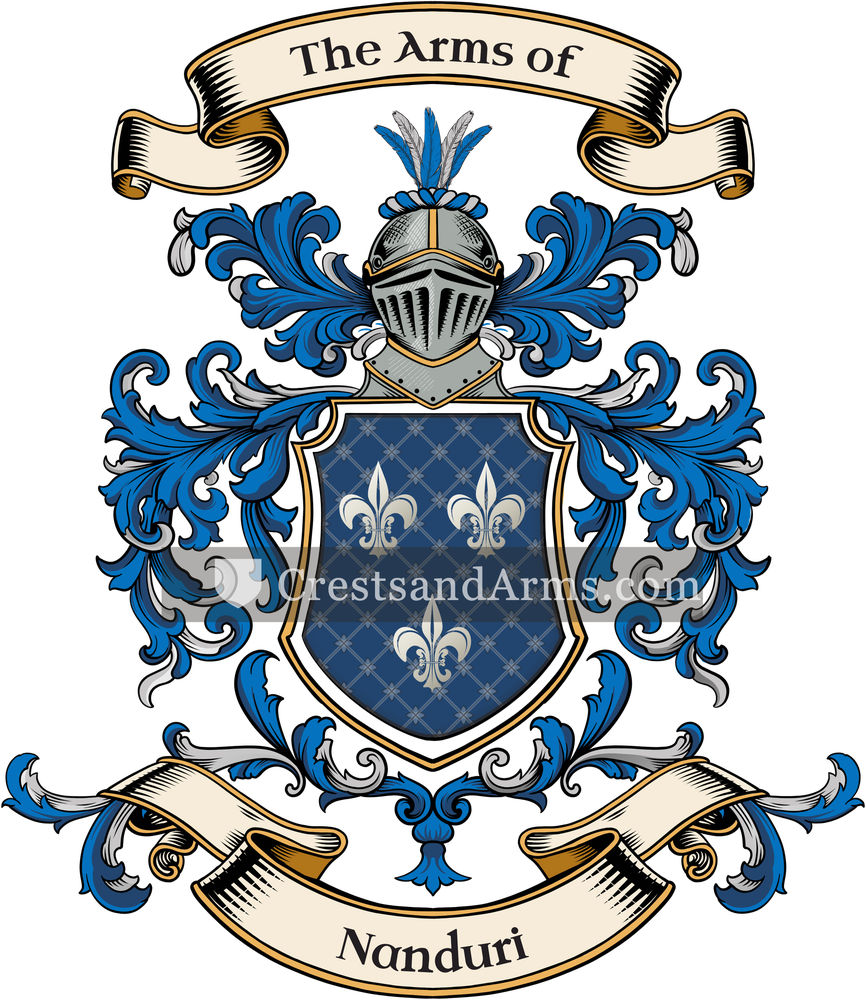 The Nanduri coat of arms, drawn from the recorded blazon