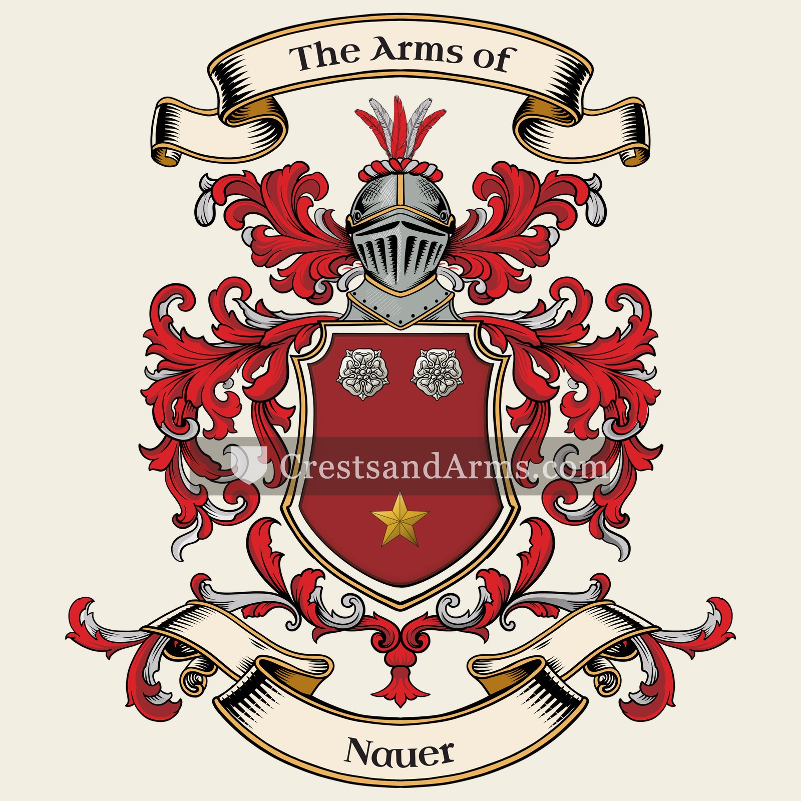 The Nauer coat of arms, drawn from the recorded blazon