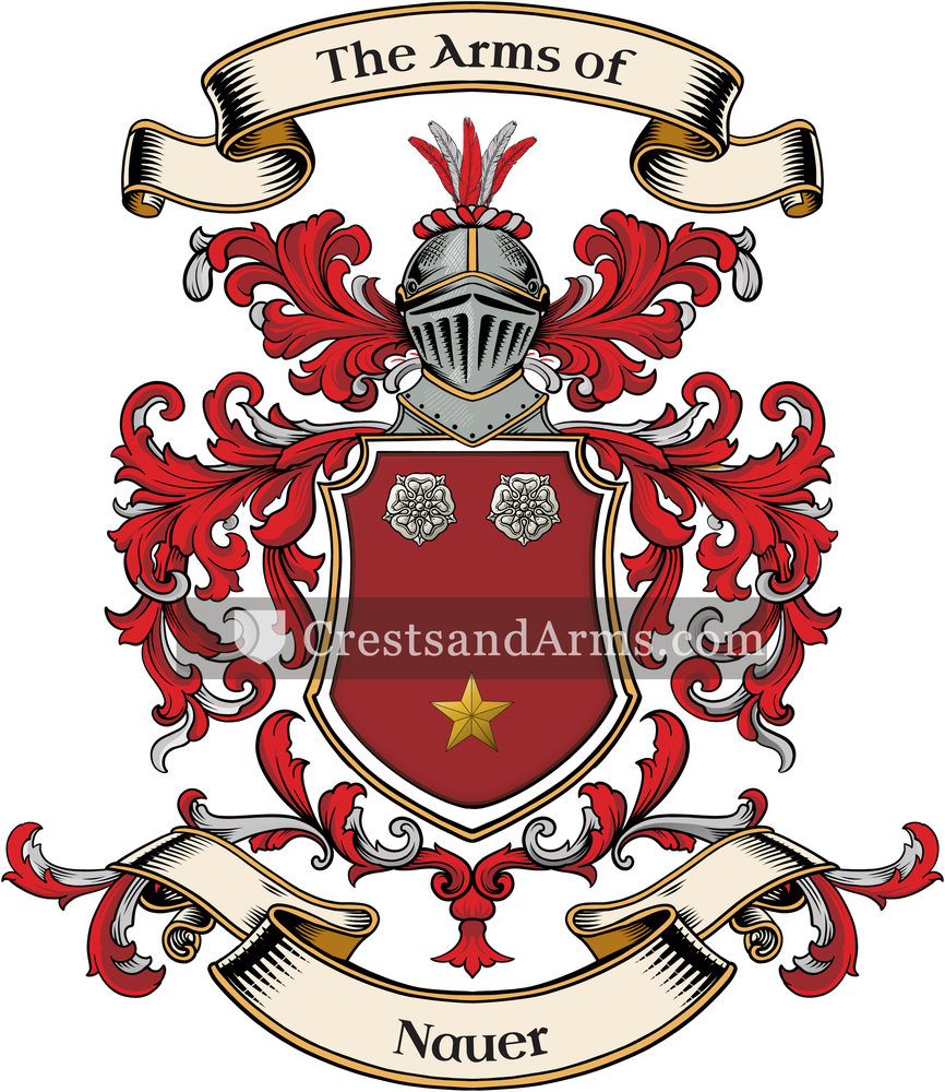 The Nauer coat of arms, drawn from the recorded blazon