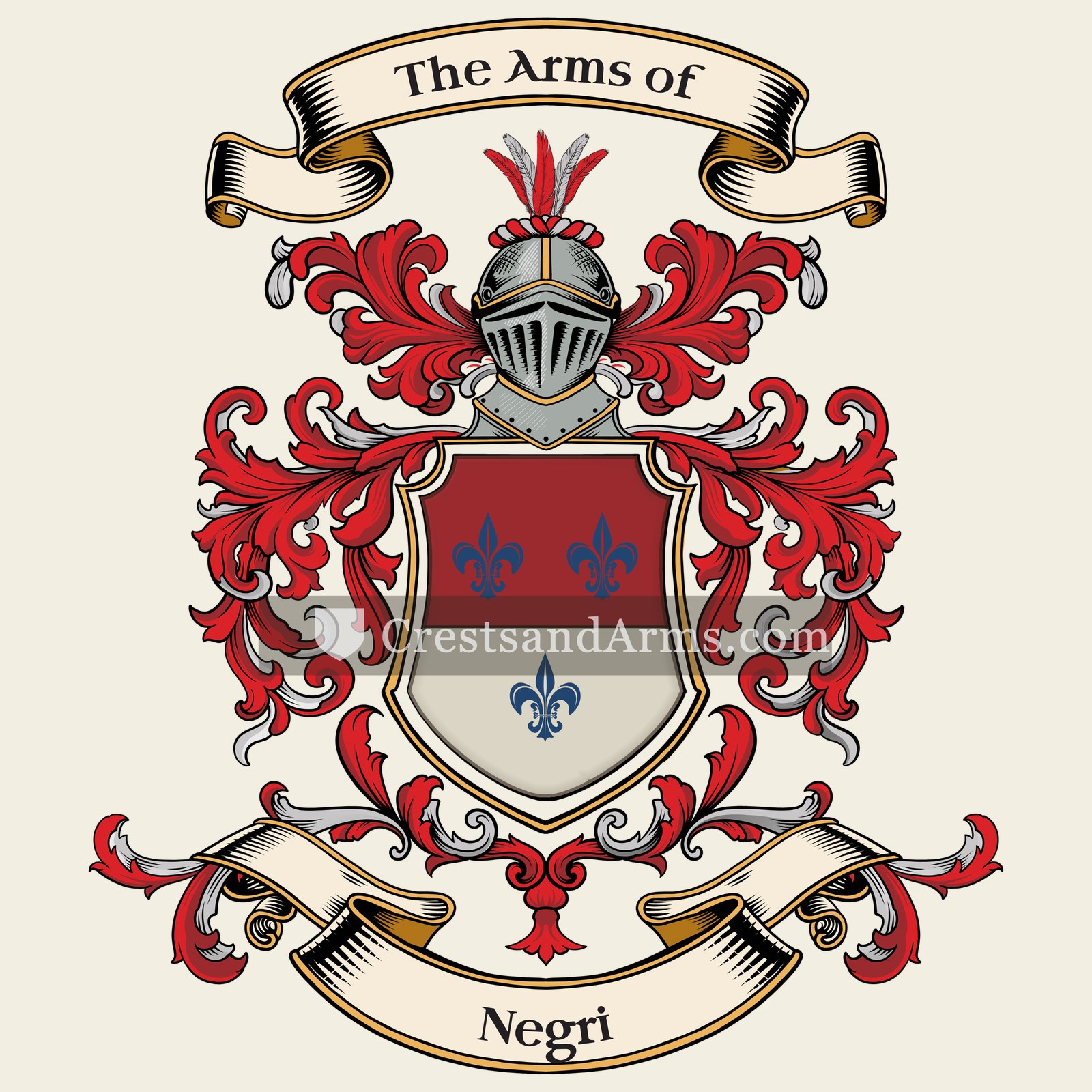 The Negri coat of arms, drawn from the recorded blazon