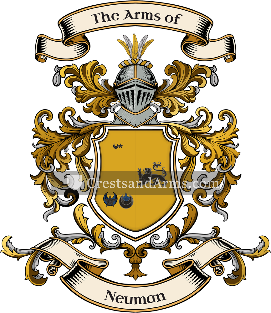The Neuman coat of arms, drawn from the recorded blazon
