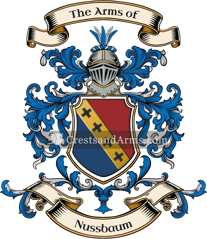 The Nussbaum coat of arms, drawn from the recorded blazon