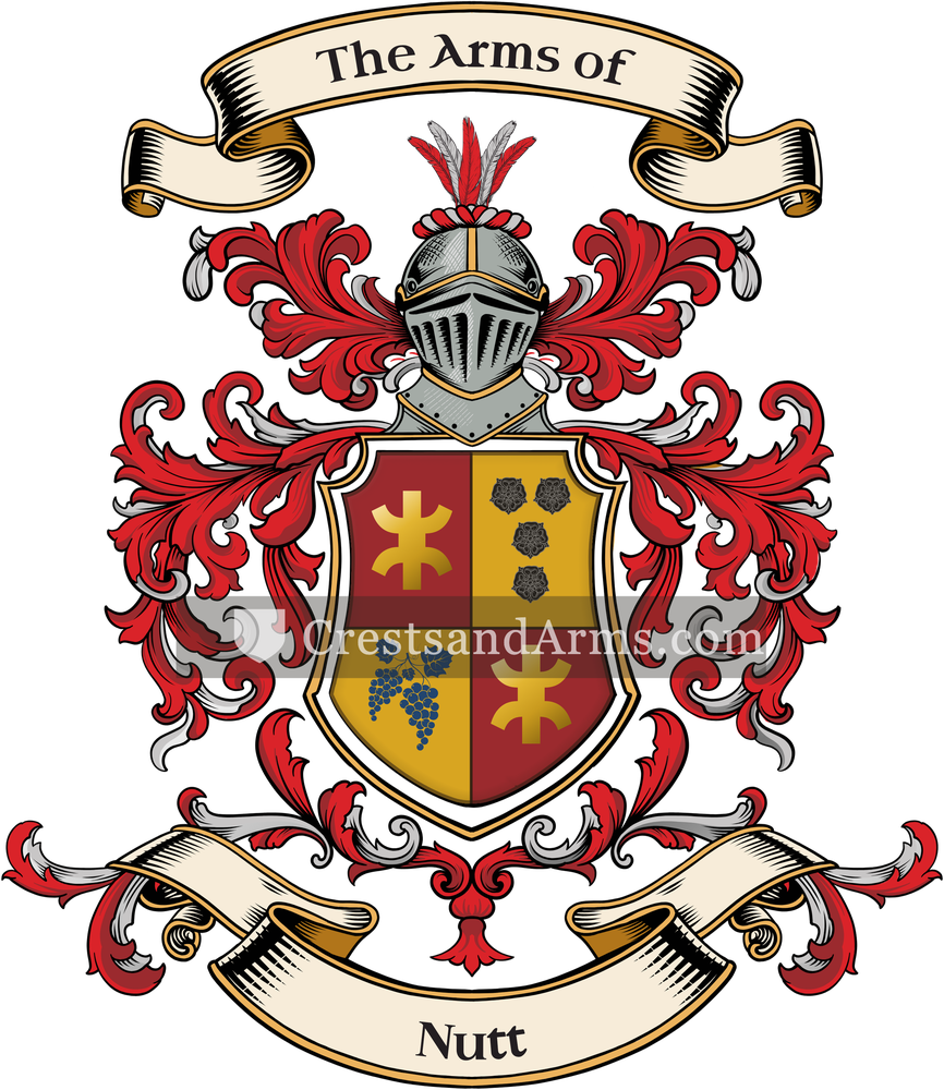 The Nutt coat of arms, drawn from the recorded blazon