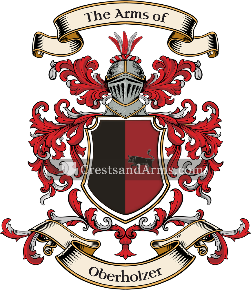 The Oberholzer coat of arms, drawn from the recorded blazon