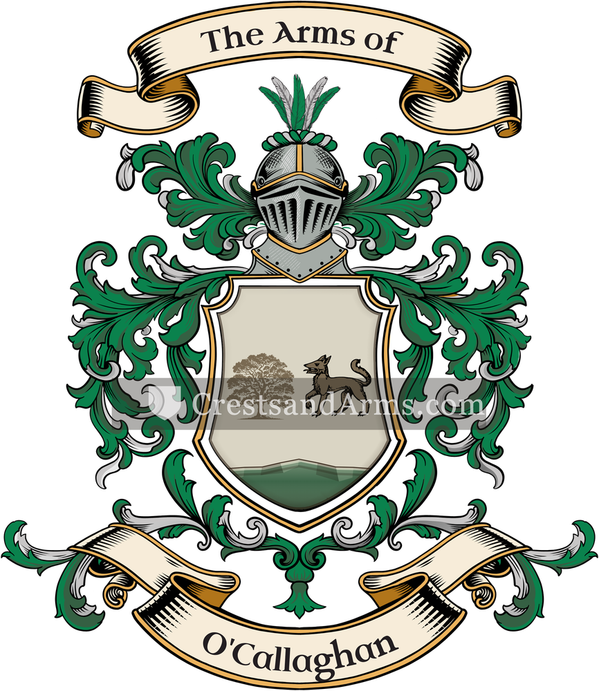 The O'Callaghan coat of arms, drawn from the recorded blazon