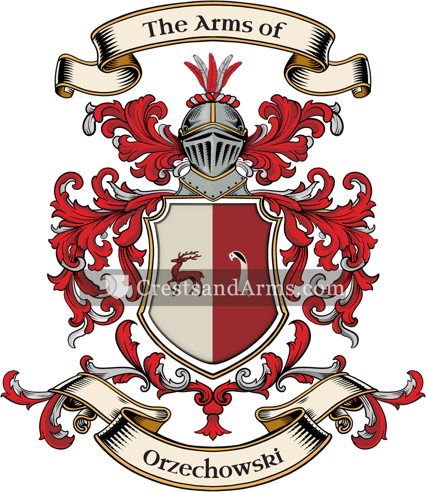 The Orzechowski coat of arms, drawn from the recorded blazon