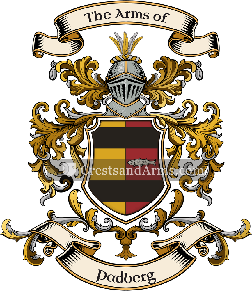 The Padberg coat of arms, drawn from the recorded blazon