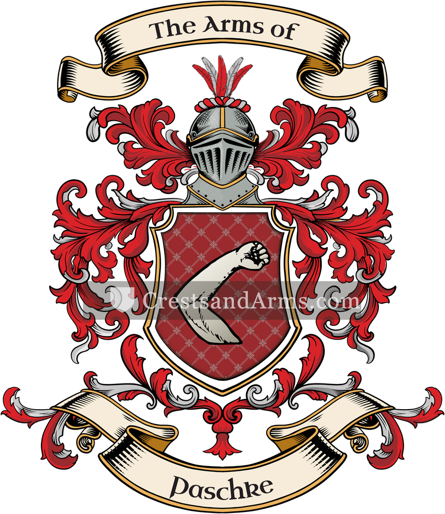 The Paschke coat of arms, drawn from the recorded blazon