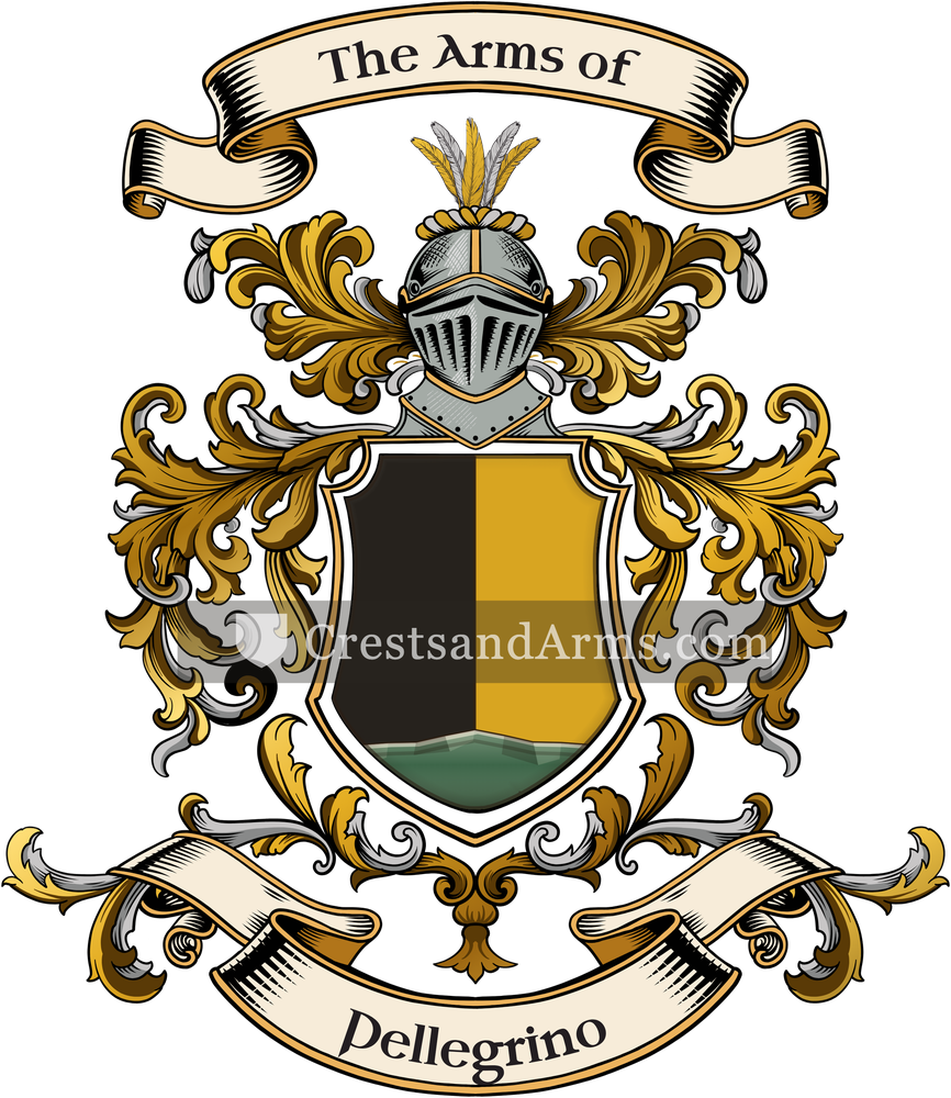 The Pellegrino coat of arms, drawn from the recorded blazon