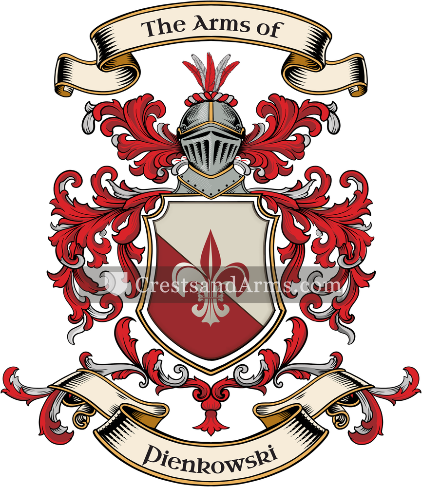 The Pienkowski coat of arms, drawn from the recorded blazon