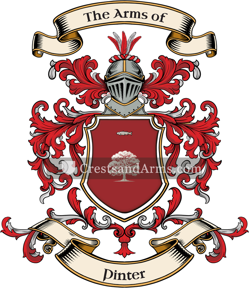 The Pinter coat of arms, drawn from the recorded blazon
