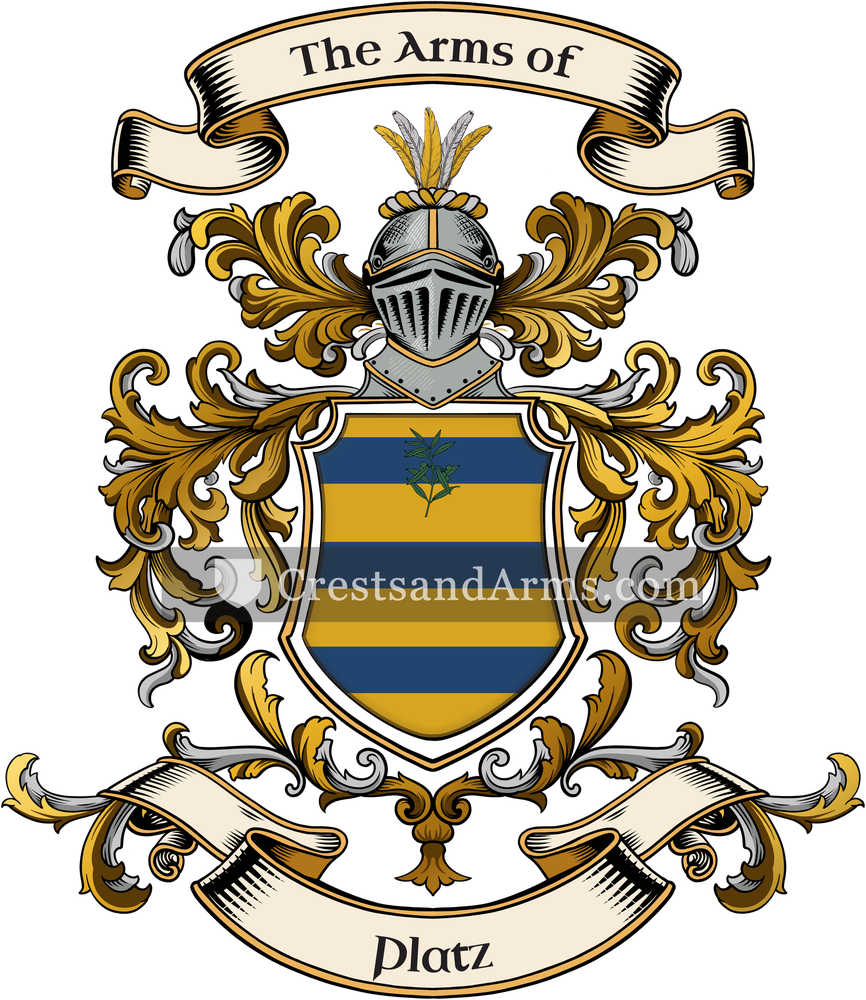 The Platz coat of arms, drawn from the recorded blazon
