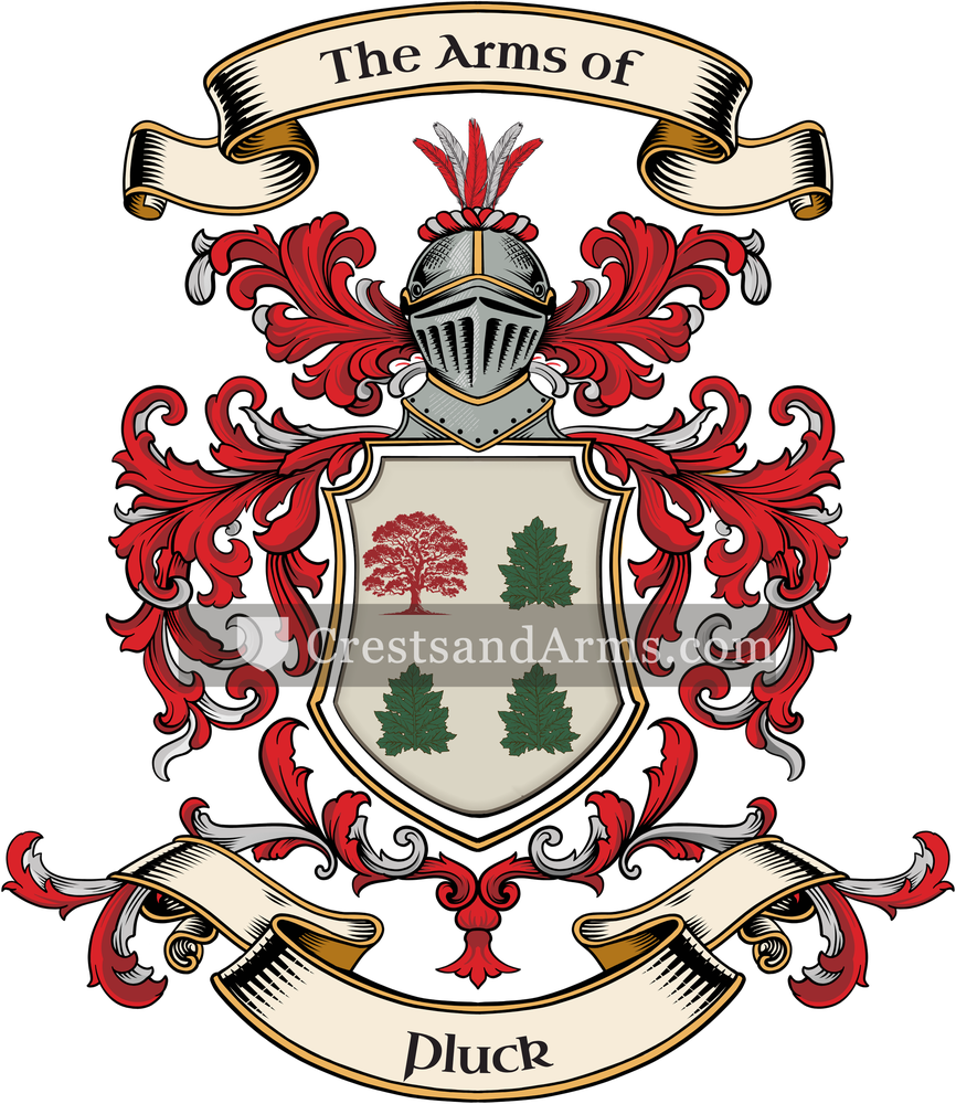 The Pluck coat of arms, drawn from the recorded blazon