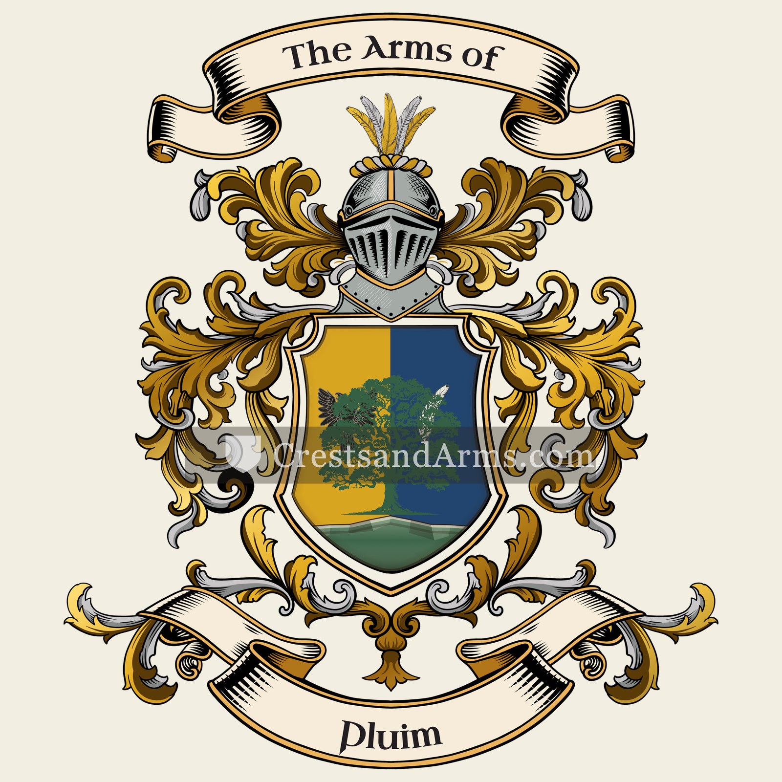 The Pluim coat of arms, drawn from the recorded blazon
