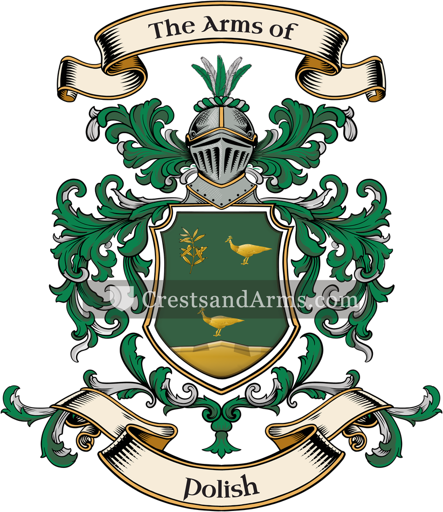The Polish coat of arms, drawn from the recorded blazon