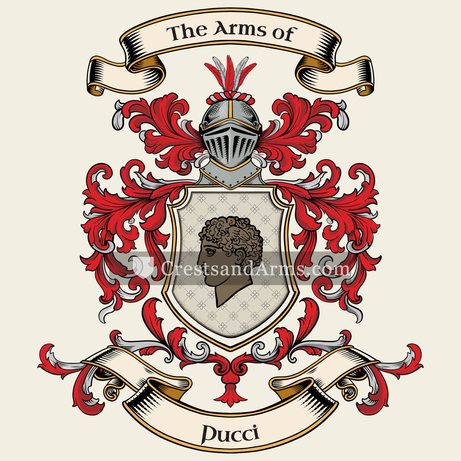The Pucci coat of arms, drawn from the recorded blazon