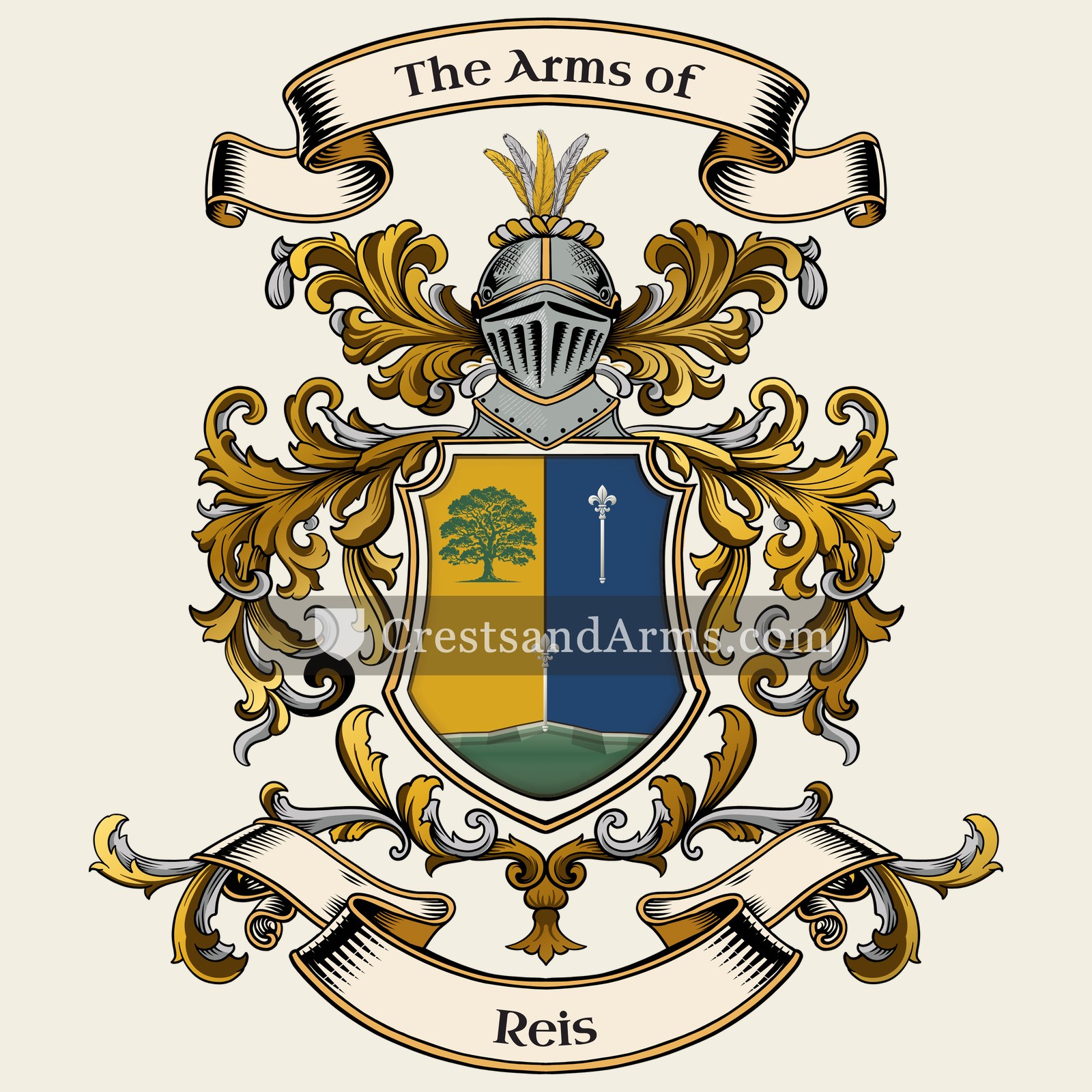 The Reis coat of arms, drawn from the recorded blazon
