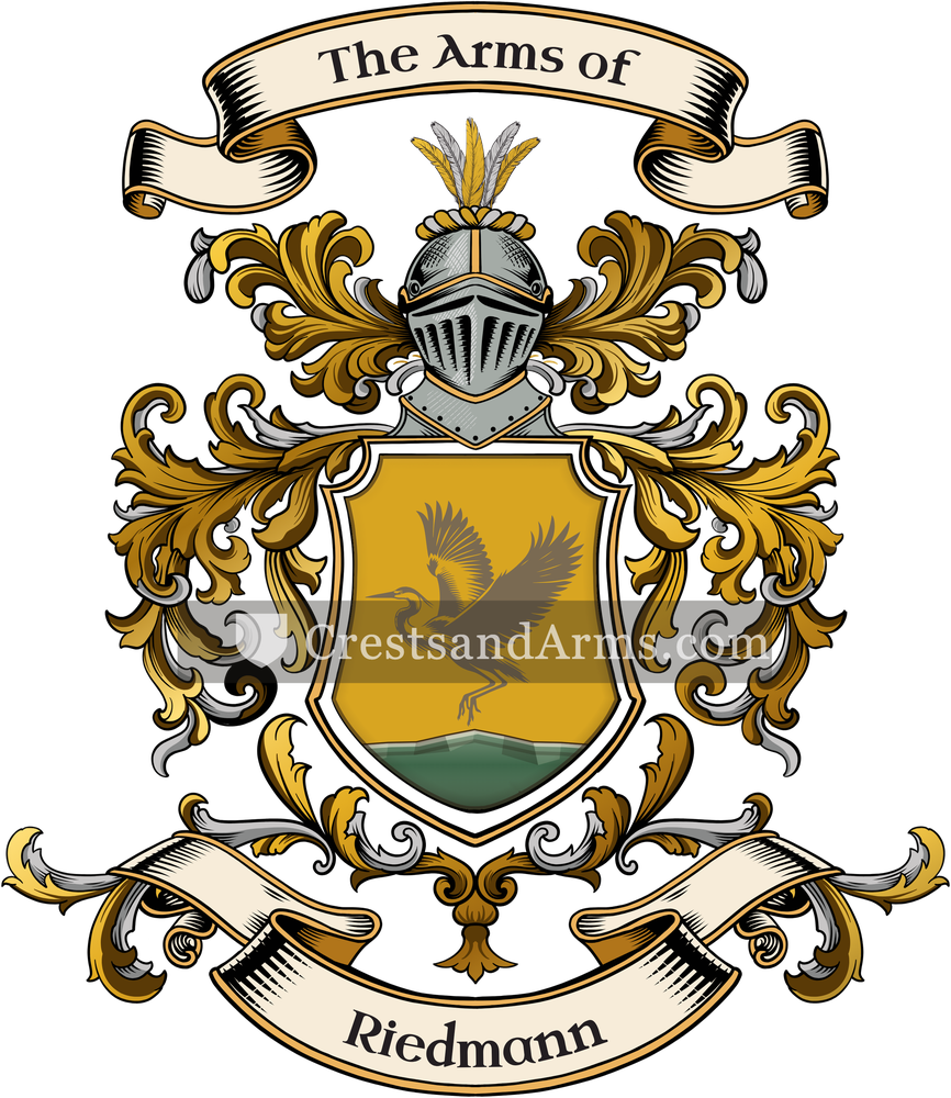 The Riedmann coat of arms, drawn from the recorded blazon