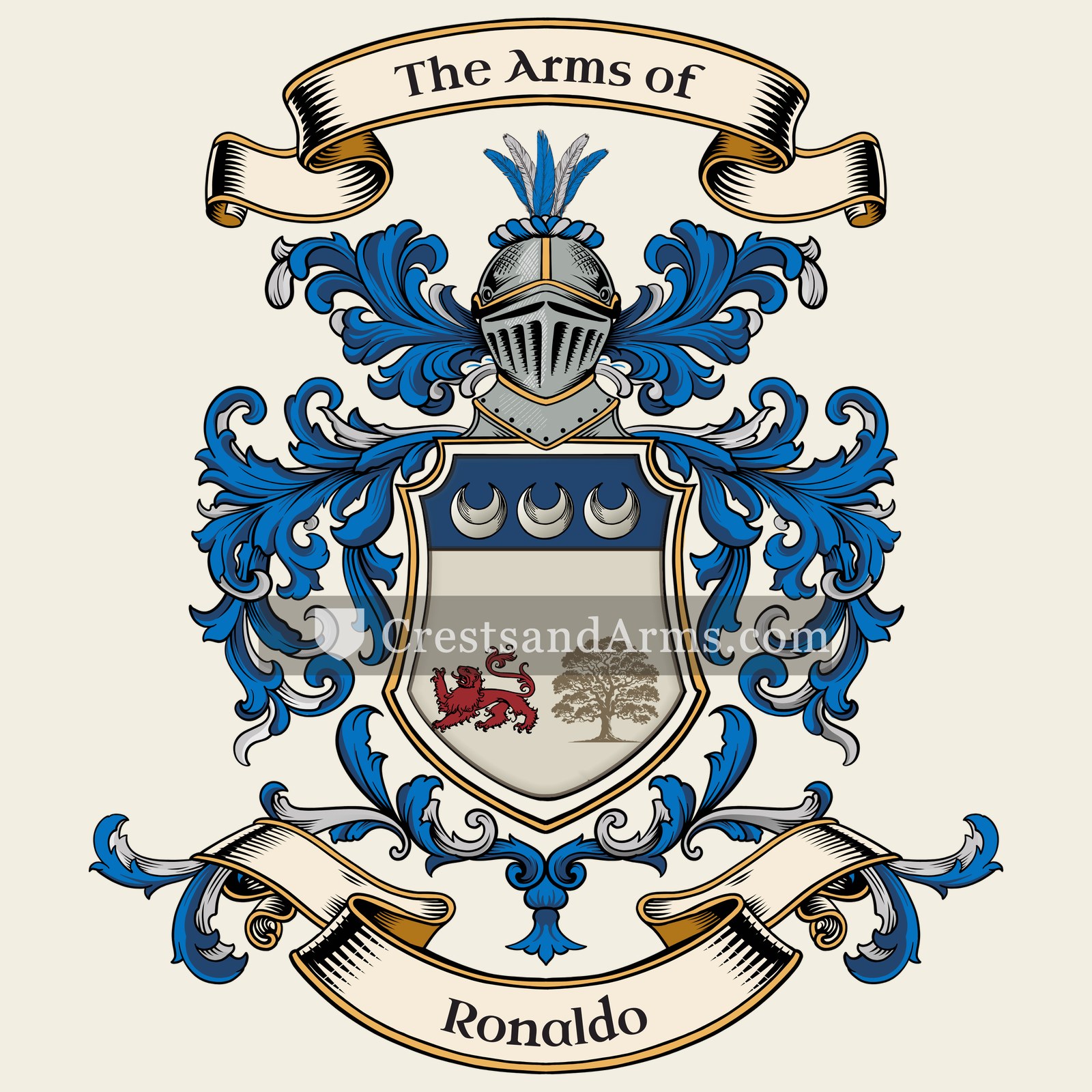 The arms