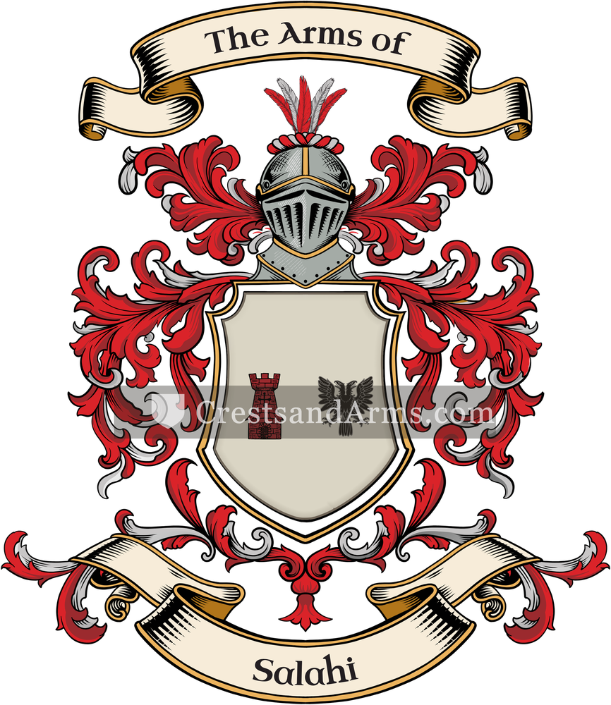 The Salahi coat of arms, drawn from the recorded blazon