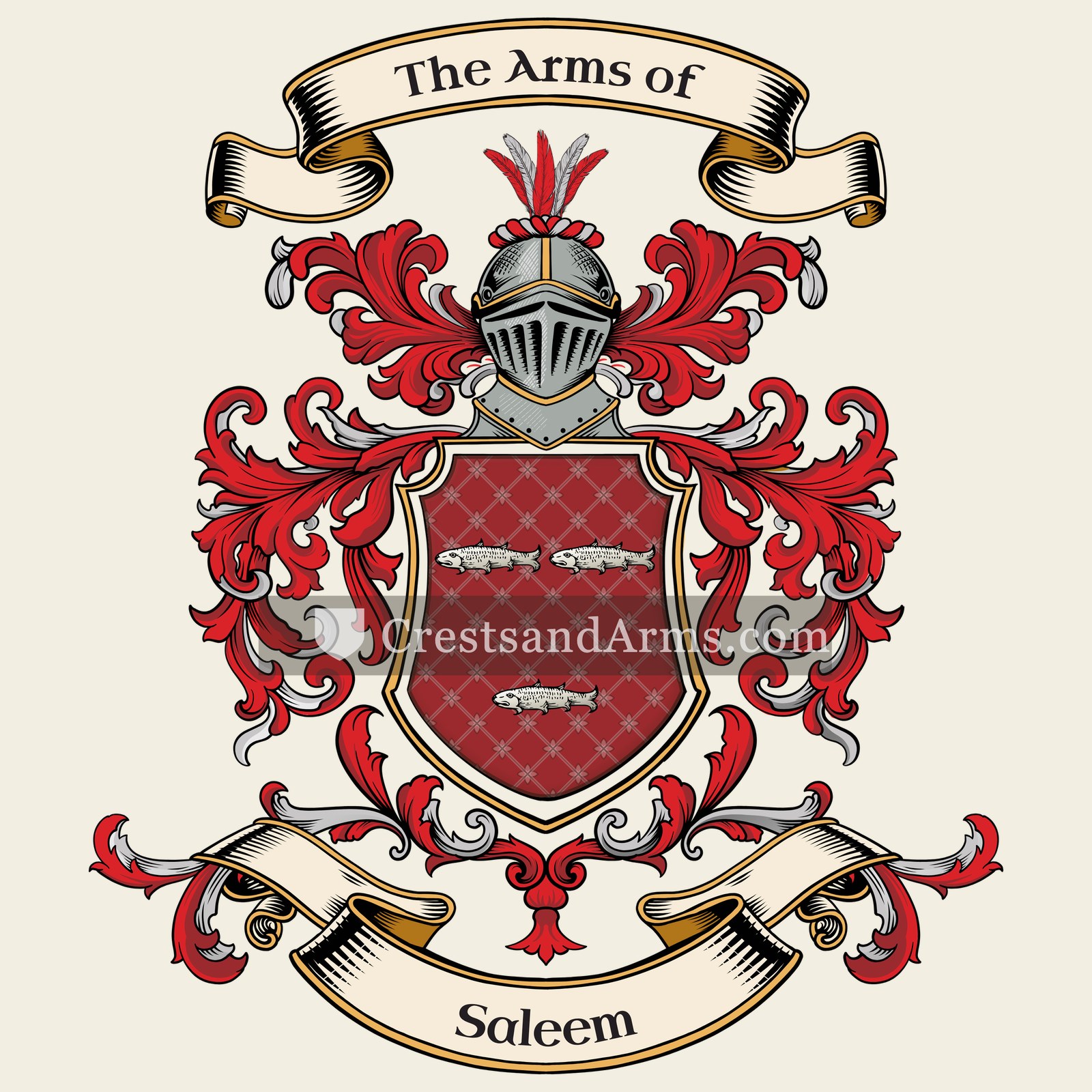 The Saleem coat of arms, drawn from the recorded blazon