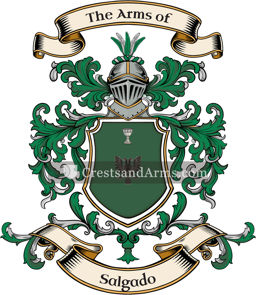 The Salgado coat of arms, drawn from the recorded blazon