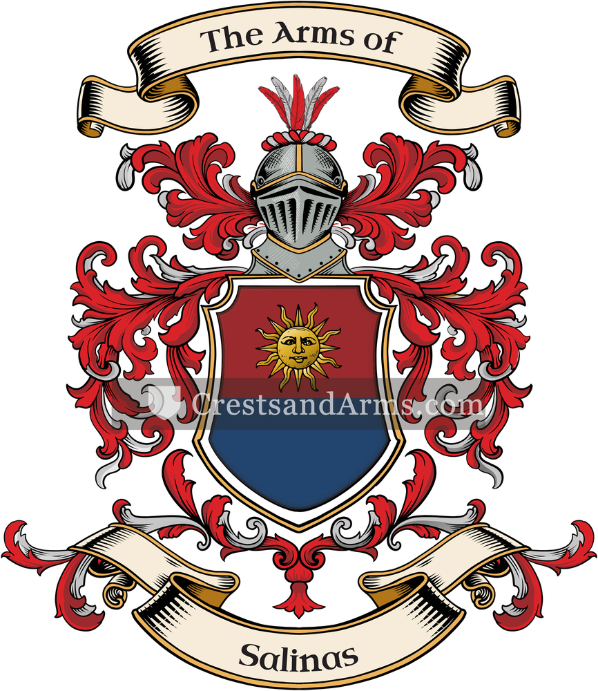 The Salinas coat of arms, drawn from the recorded blazon